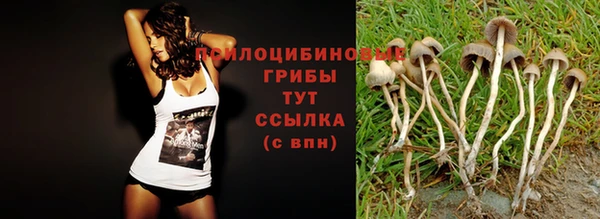 кокаин колумбия Алзамай