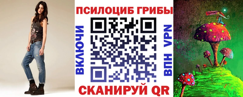 blacksprut ТОР  Котлас  Псилоцибиновые грибы ЛСД  цены  